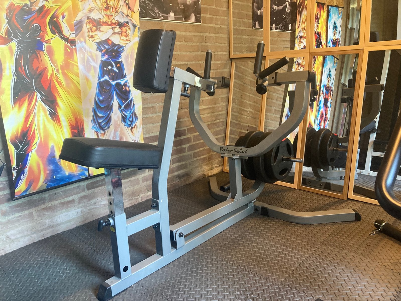 Body solid Seated row, Sport en Fitness, Fitnessmaterialen, Ophalen, Zo goed als nieuw, Rug, Overige typen