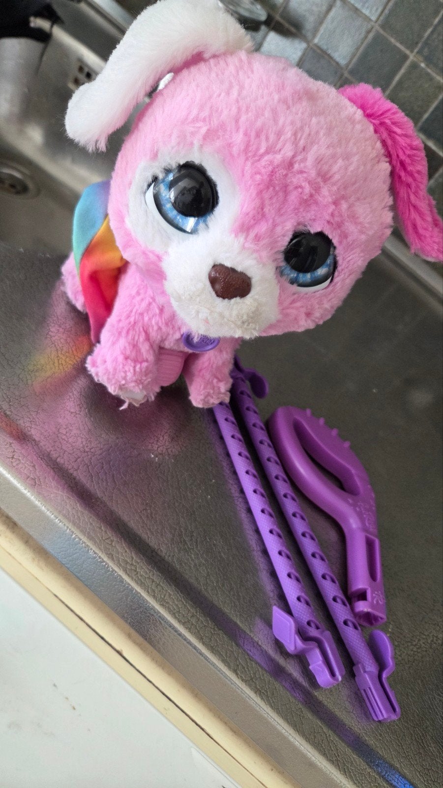Roze knuffelhond met regenboogcape en riem, Ophalen, Gebruikt, Overige merken, Overige karakters