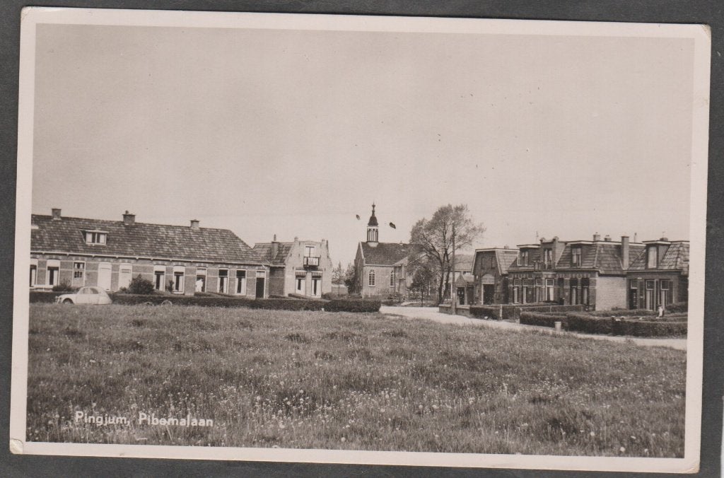 pingjum gezicht op het dorp met de pibemalaan, Verzenden, 1940 tot 1960, Gelopen, Friesland
