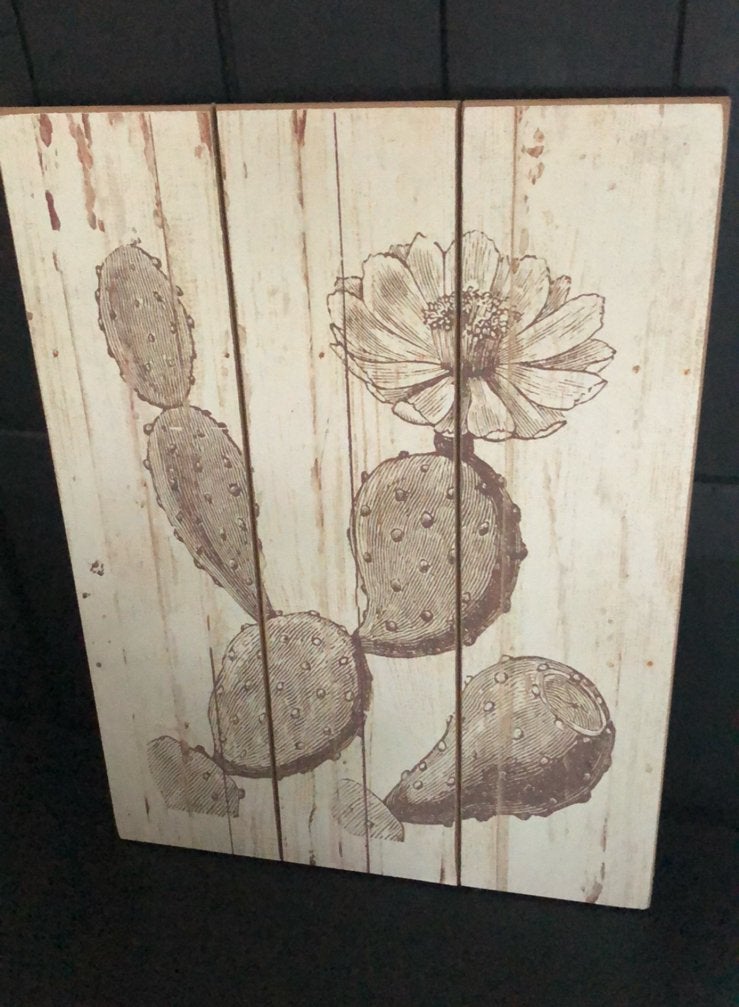 Leuke houten bord met cactussen, Ophalen, Zo goed als nieuw, Minder dan 50 cm, Schilderij