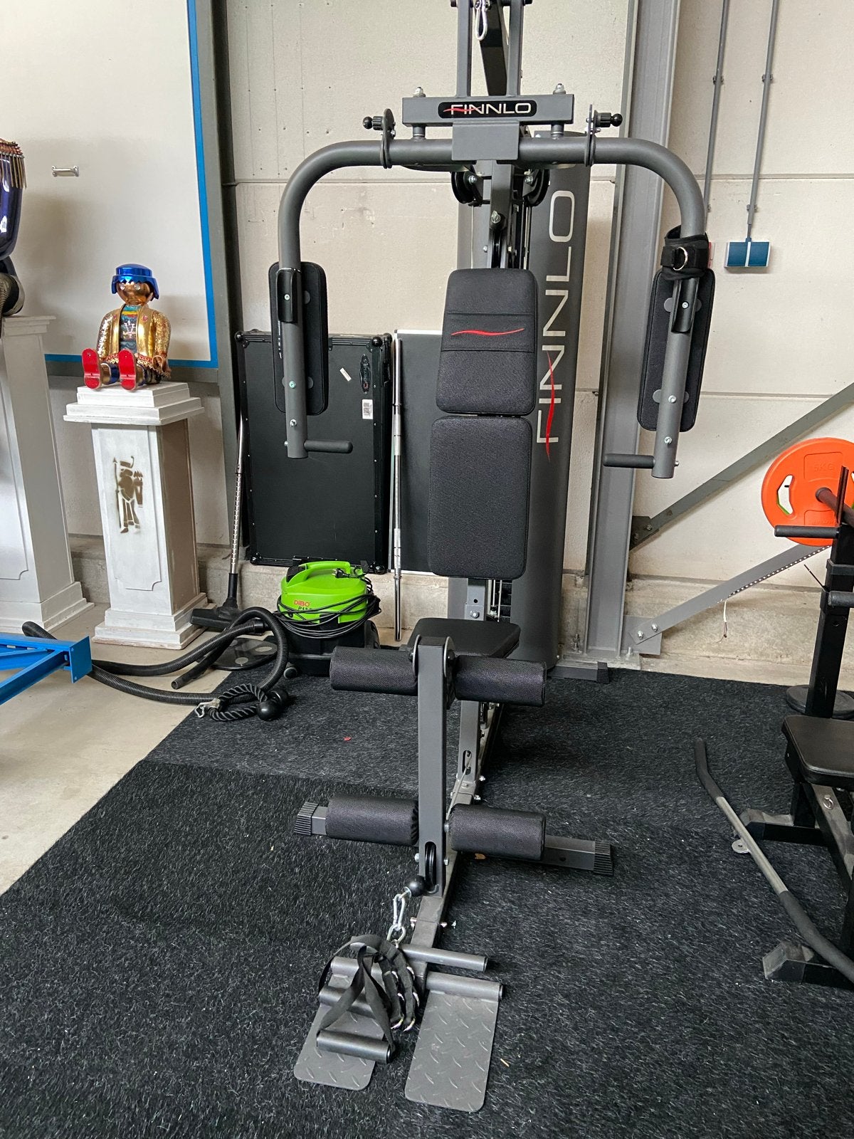 Complete thuisgym: krachtstation, dumbbells, kettlebell, Ophalen, Gebruikt, Armen, Dumbbell