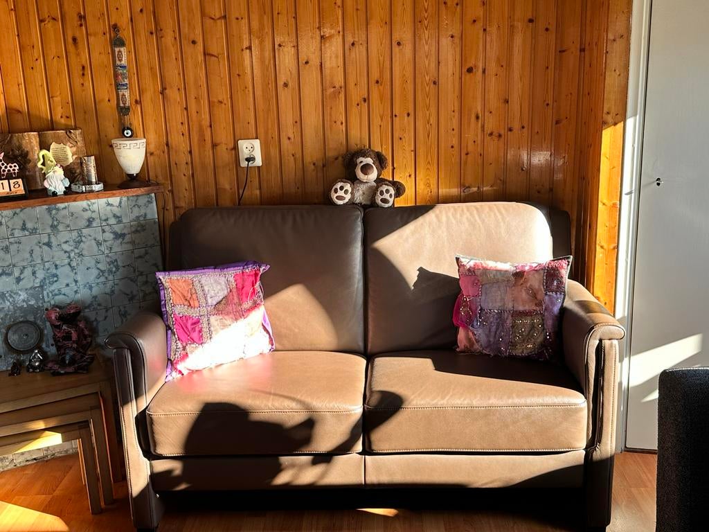 Mooie 2-zits bank - Bruin leer, Ophalen, Gebruikt, 150 tot 200 cm, Tweepersoons