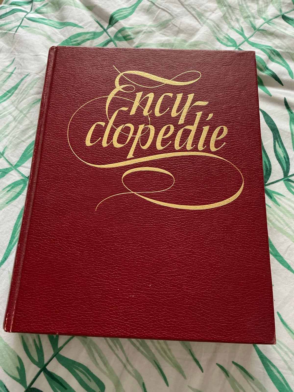 Moderne Nederlandse Encyclopedie in Kleuren - 1978, Boeken, Encyclopedieën, Ophalen, Gelezen, Algemeen, Los deel