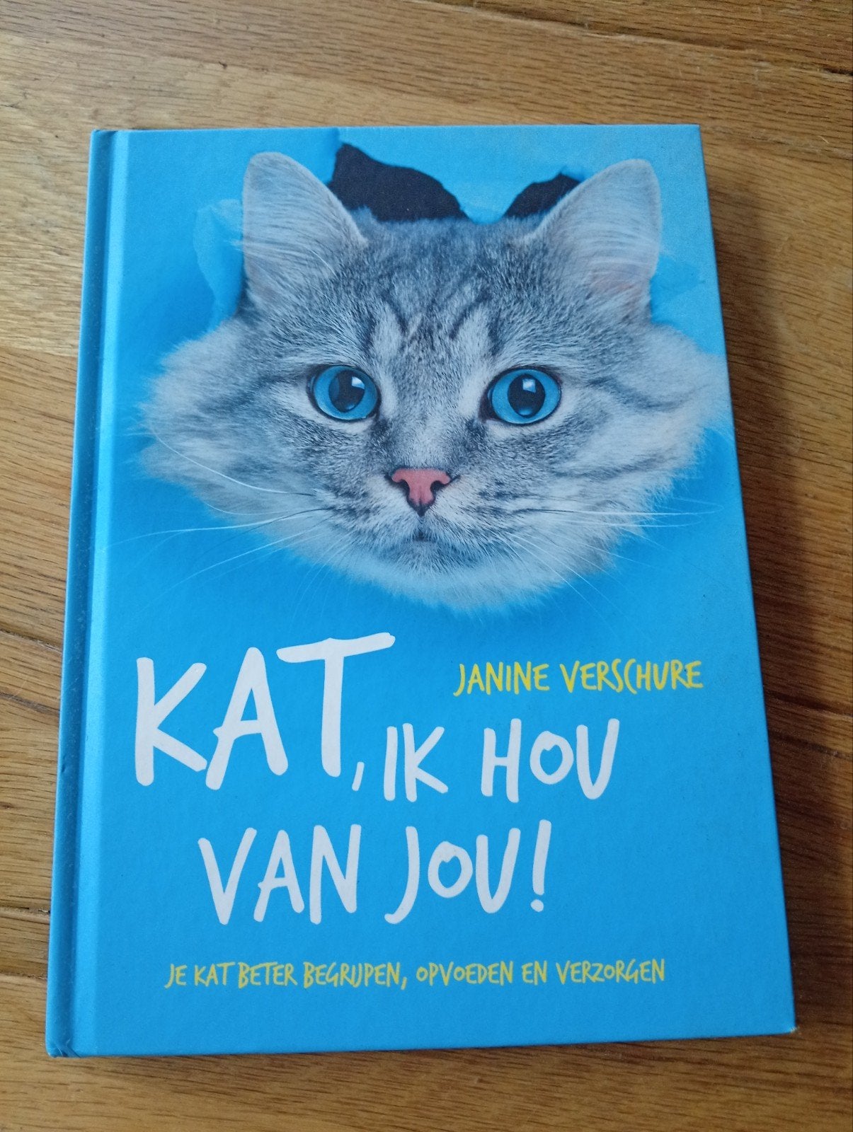 Kat, ik hou van jou! - Janine Verschure, Zo goed als nieuw, Katten, Janine Verschure, Ophalen of Verzenden