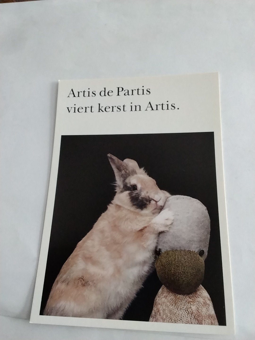 Boomerang Ansichtkaart: Artis de Partis viert kerst in Artis, Ophalen of Verzenden