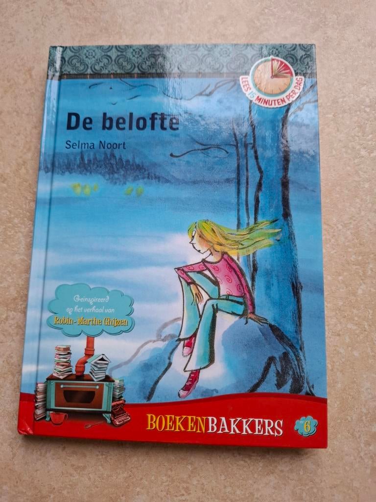 De belofte, Ophalen of Verzenden, Zo goed als nieuw