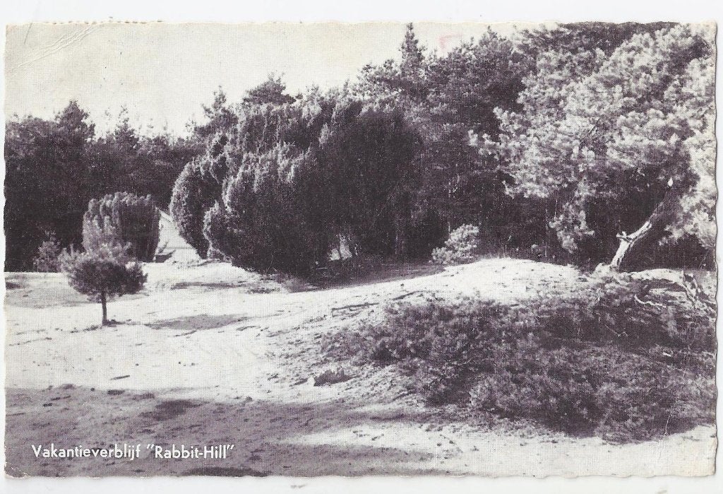 Nieuw milligen rabbit hill gelopen oude ansichtkaart (7929, Ophalen of Verzenden, 1960 tot 1980, Gelopen