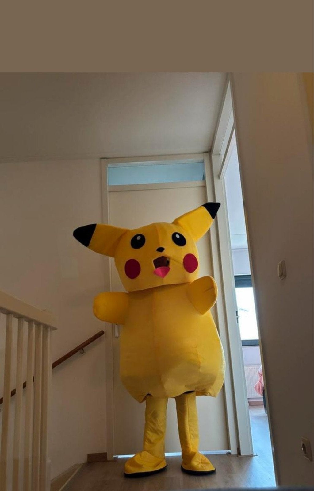 Mascotte Pak Pikachu Huren of Kopen - Diverse Figuren, Ophalen of Verzenden