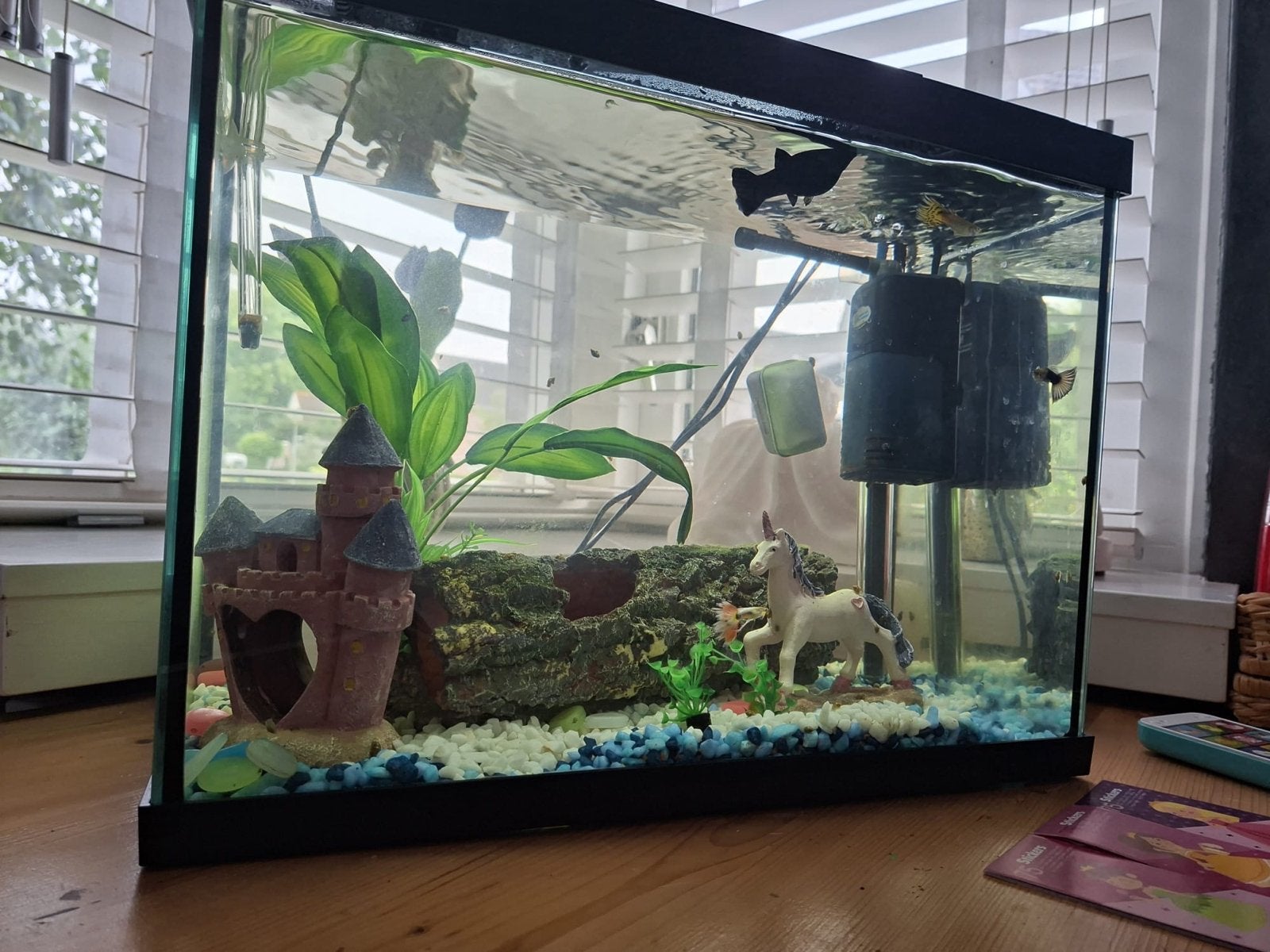 aquarium met pomp en toebehoren, Ophalen, Inclusief toebehoren, Zo goed als nieuw, Gevuld zoetwateraquarium