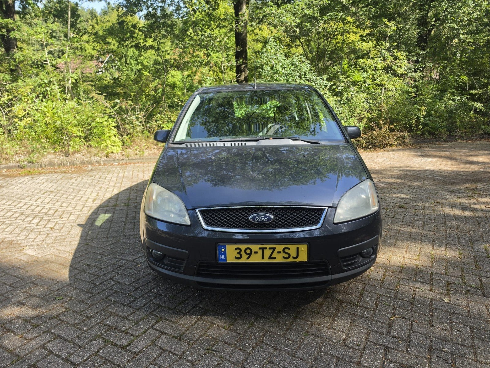Ford Focus C-Max 1.6 2007 inruil koopje, Auto's, Voorwielaandrijving, 1596 cc, Stof, 4 cilinders