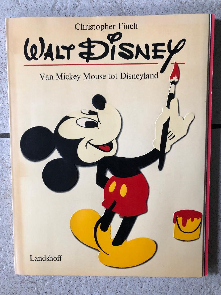 Groot formaat boek Walt Disney, Ophalen of Verzenden, Mickey Mouse, Gebruikt, Overige typen