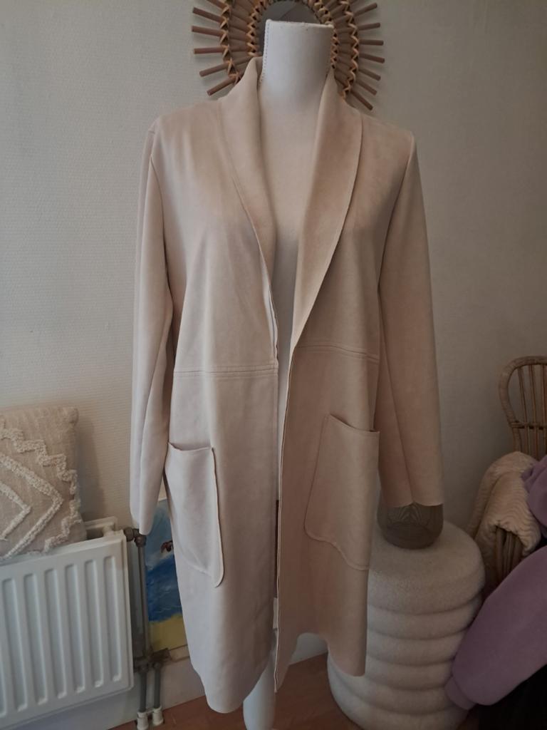 Jas Primark maat 38, Ophalen of Verzenden, Zo goed als nieuw, Maat 38/40 (M)