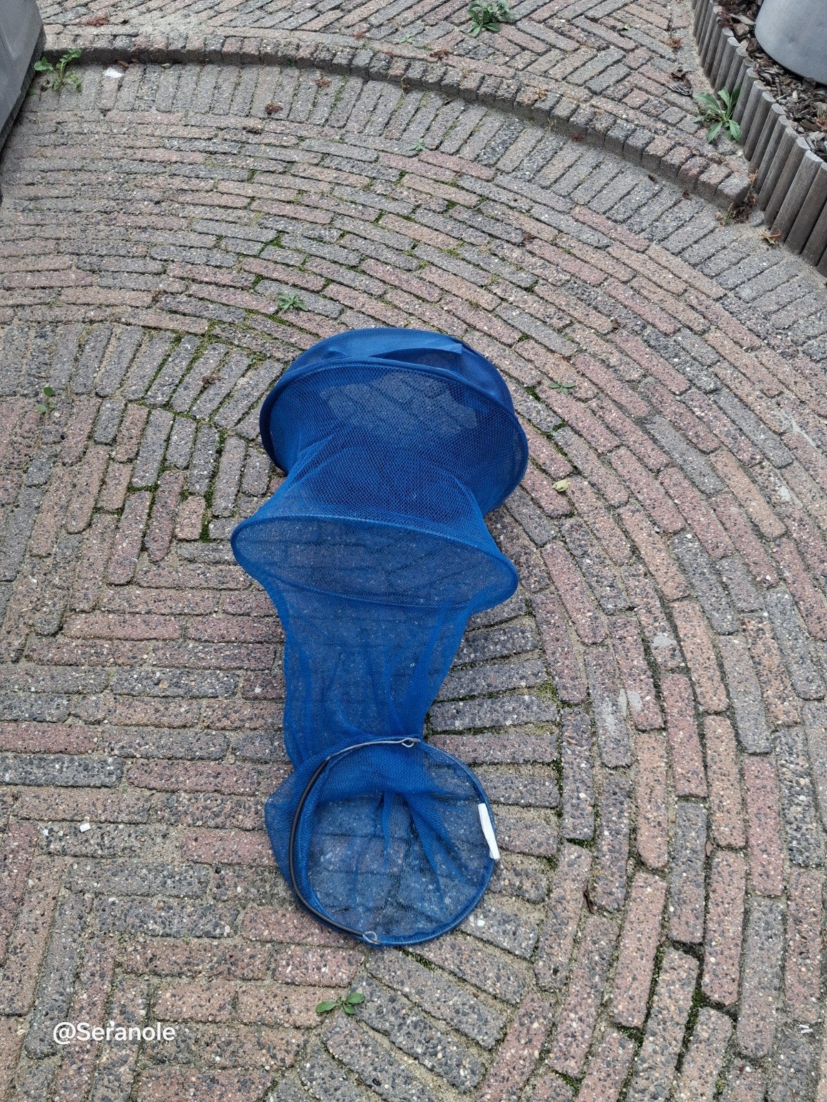 Visleefnet - Handig en opvouwbaar, Ophalen of Verzenden, Gebruikt, Net of Fuik