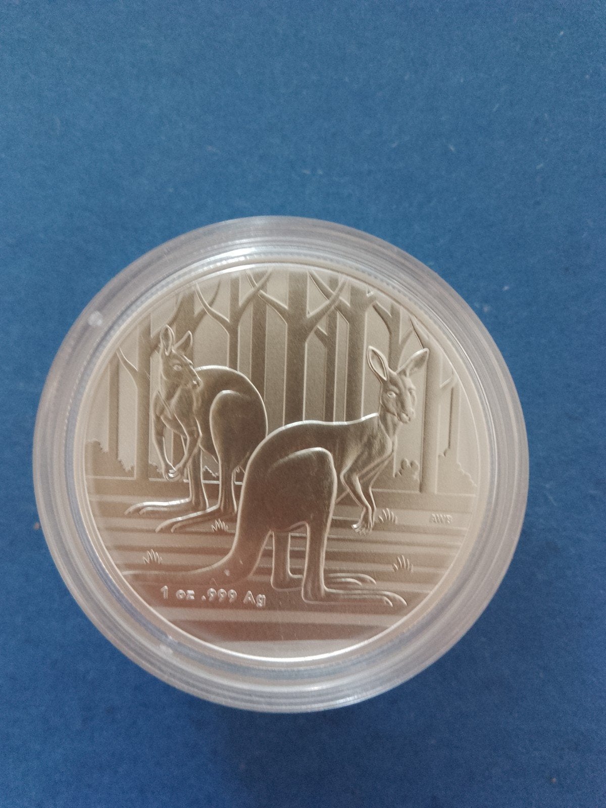 RAM Kangaroo 2024 1 oz zilver, Ophalen of Verzenden, Zilver