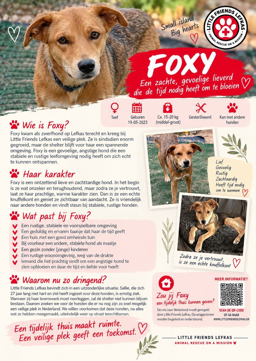 FOSTERGEZIN GEZOCHT VOOR FOXY, Overige vormen, MBO, Geschikt als bijbaan, Overige uren