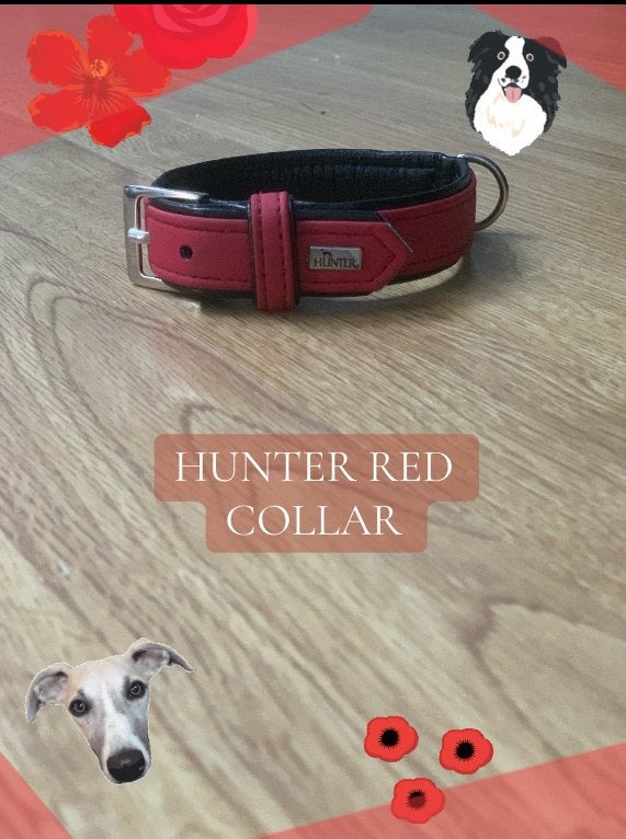 Hunter rode halsband maat s, Dieren en Toebehoren, Ophalen of Verzenden, Gebruikt