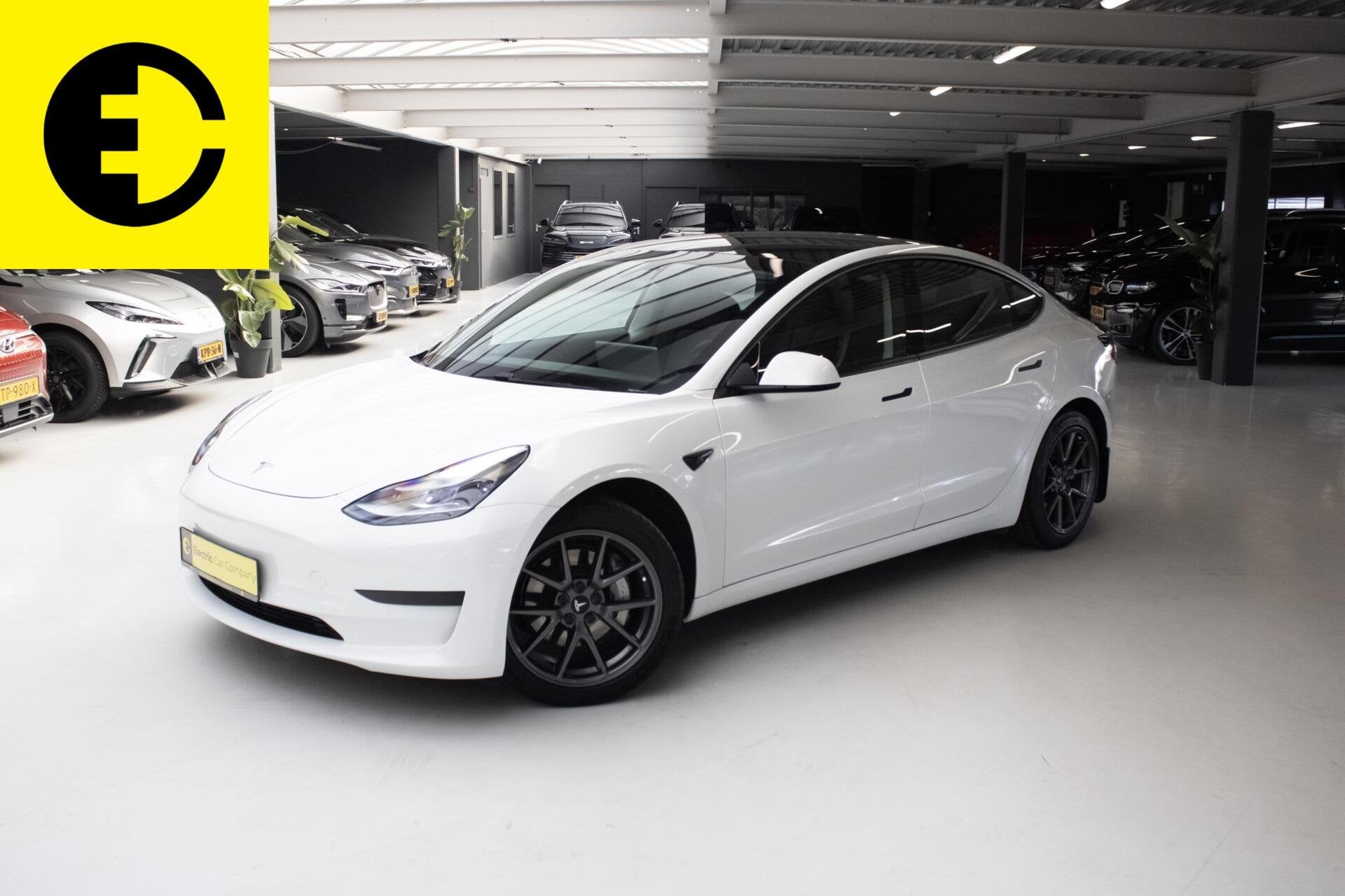 Tesla Model 3 Long Range AWD 75 kWh | SOH 88.2%| Pano | Stoe, Auto's, Automaat, 238 pk, Achterwielaandrijving, Gebruikt