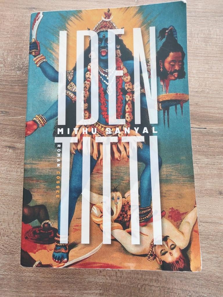 Identitti - Mithu Sanyal (Roman), Boeken, Romans, Gelezen, Europa overig, Ophalen of Verzenden