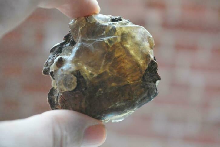 Barnsteen / Copal *nr. 06*, Ophalen of Verzenden, Mineraal