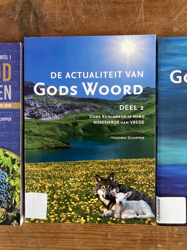 Hendrik SCHIPPER - Het Koninkrijk van God is nabij, Boeken, Ophalen of Verzenden, Zo goed als nieuw, Hendrik SCHIPPER
