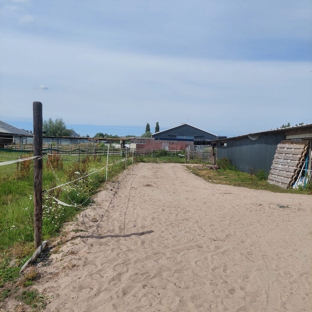 Plek vrij op paardenparadijsje, Dieren en Toebehoren, Stalling en Weidegang, Stalling, Weidegang