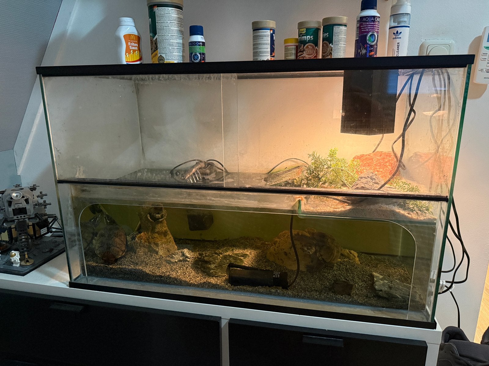 Mooi Terrarium met twee schilpadden en vissen, Ophalen, Gebruikt, Terrarium of Paludarium