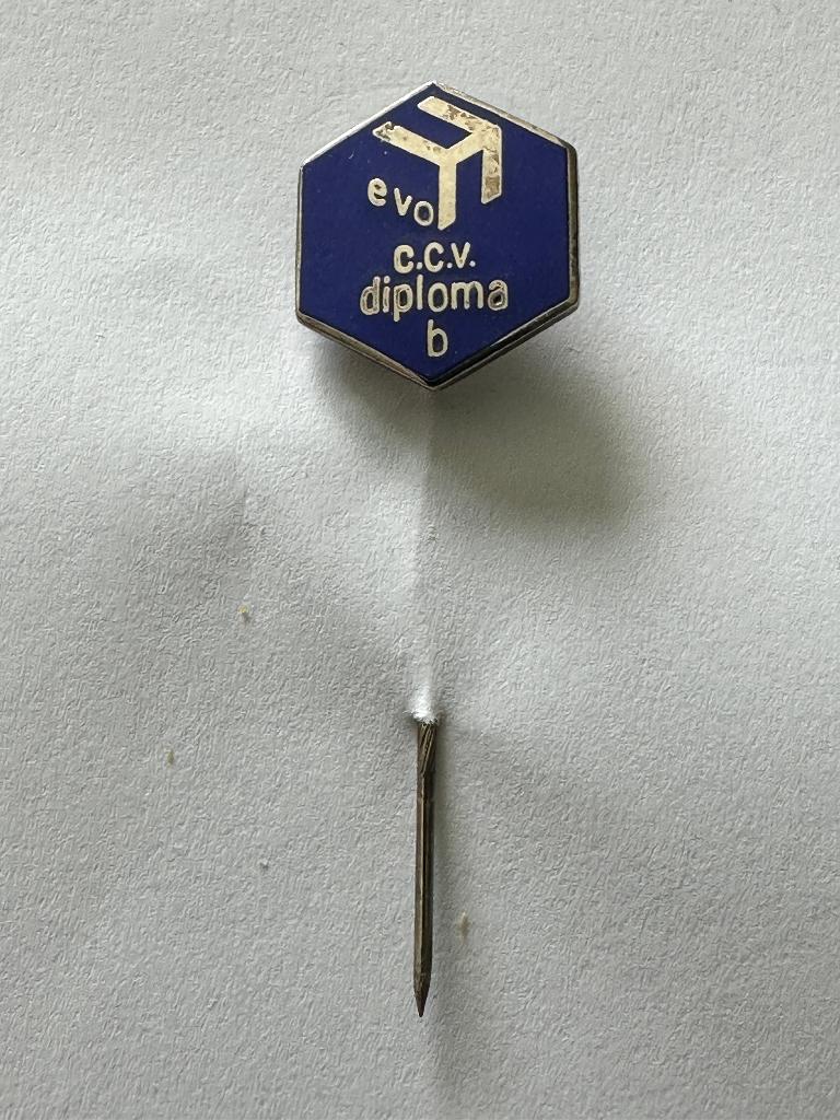 Emaille EVO C.C.V. speld Eigen Vervoer Organisatie Diploma B, Ophalen of Verzenden, Gebruikt, Transport, Speldje of Pin
