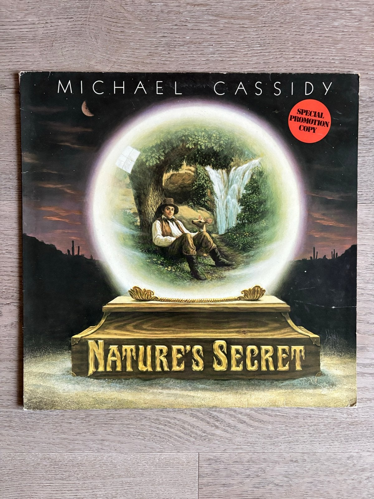 Michael Cassidy - Nature's Secret (LP, 1979), LP, Gebruikt, Promo, Ophalen of Verzenden