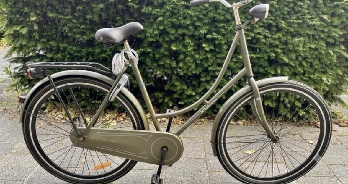 Mooie Wheelerz Fiets groen, compleet ! Topper!, 56 cm of meer, Ophalen, Zo goed als nieuw, Terugtraprem