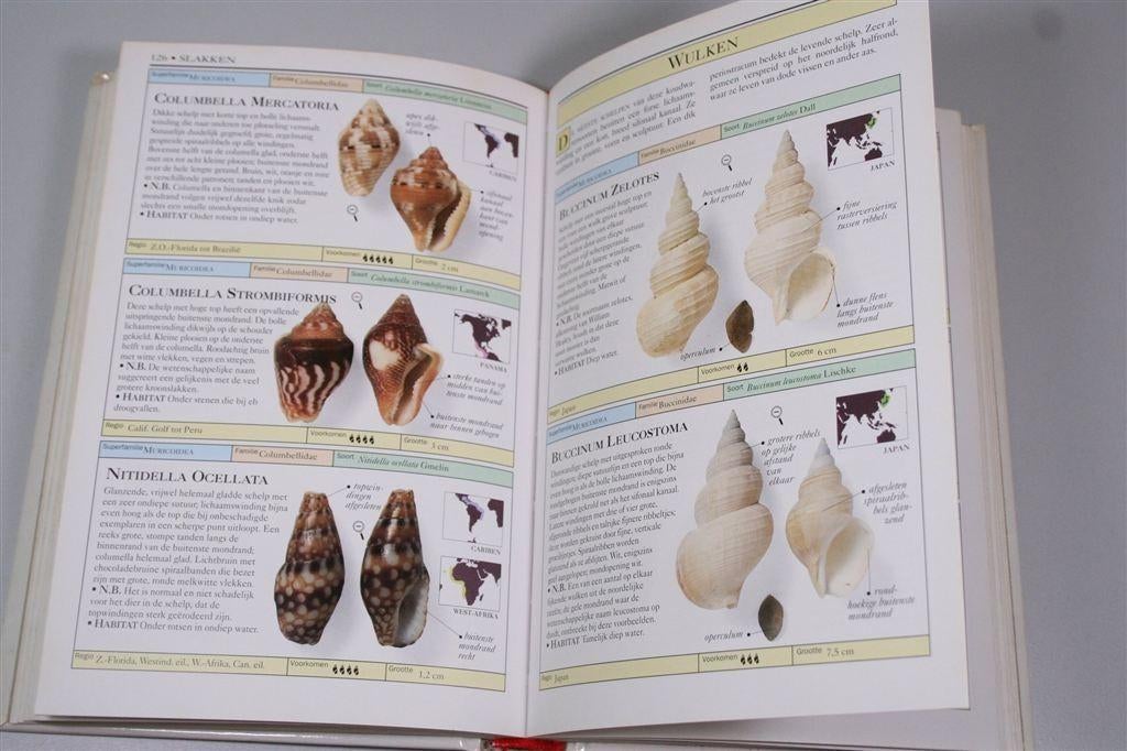 Schelpen — Sesam Natuur Handboek, Verzamelen, Ophalen of Verzenden, Schelp(en)