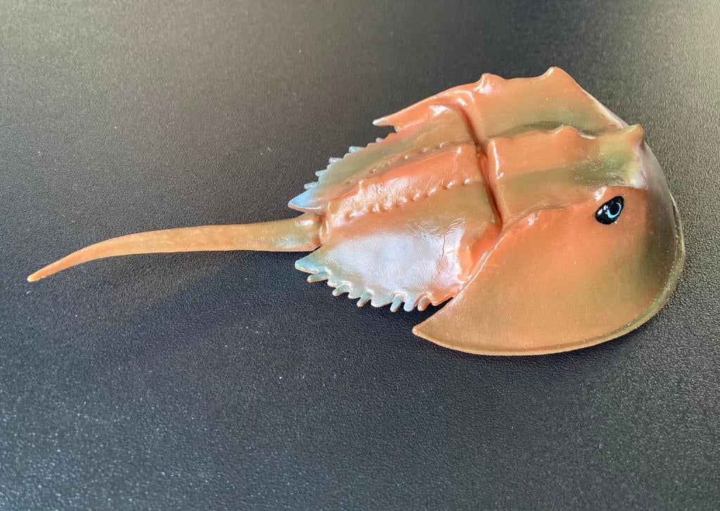 Degenkrab Crab Krab, Verzamelen, Dierenverzamelingen, Ophalen of Verzenden, Zo goed als nieuw, Beeldje of Figuurtje