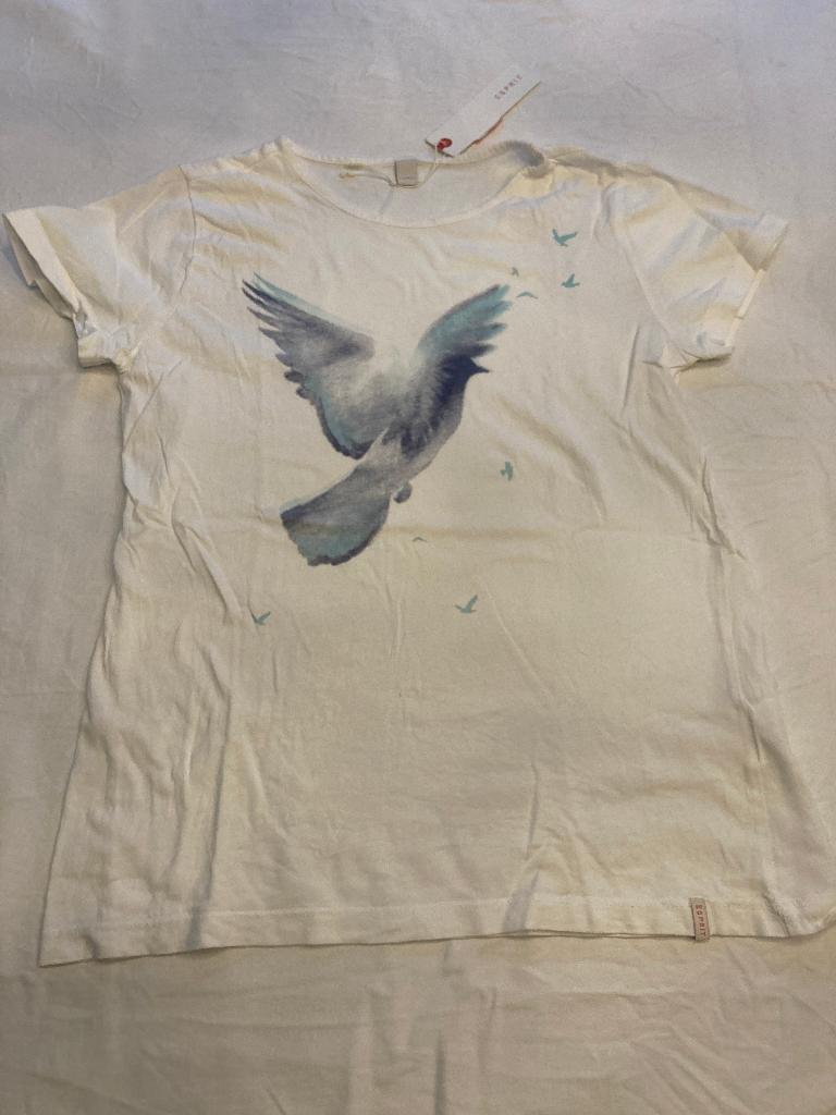 Esprit wit shirt vogel vogels maat 164 nette staat!, Meisje, Ophalen of Verzenden, Zo goed als nieuw, Esprit