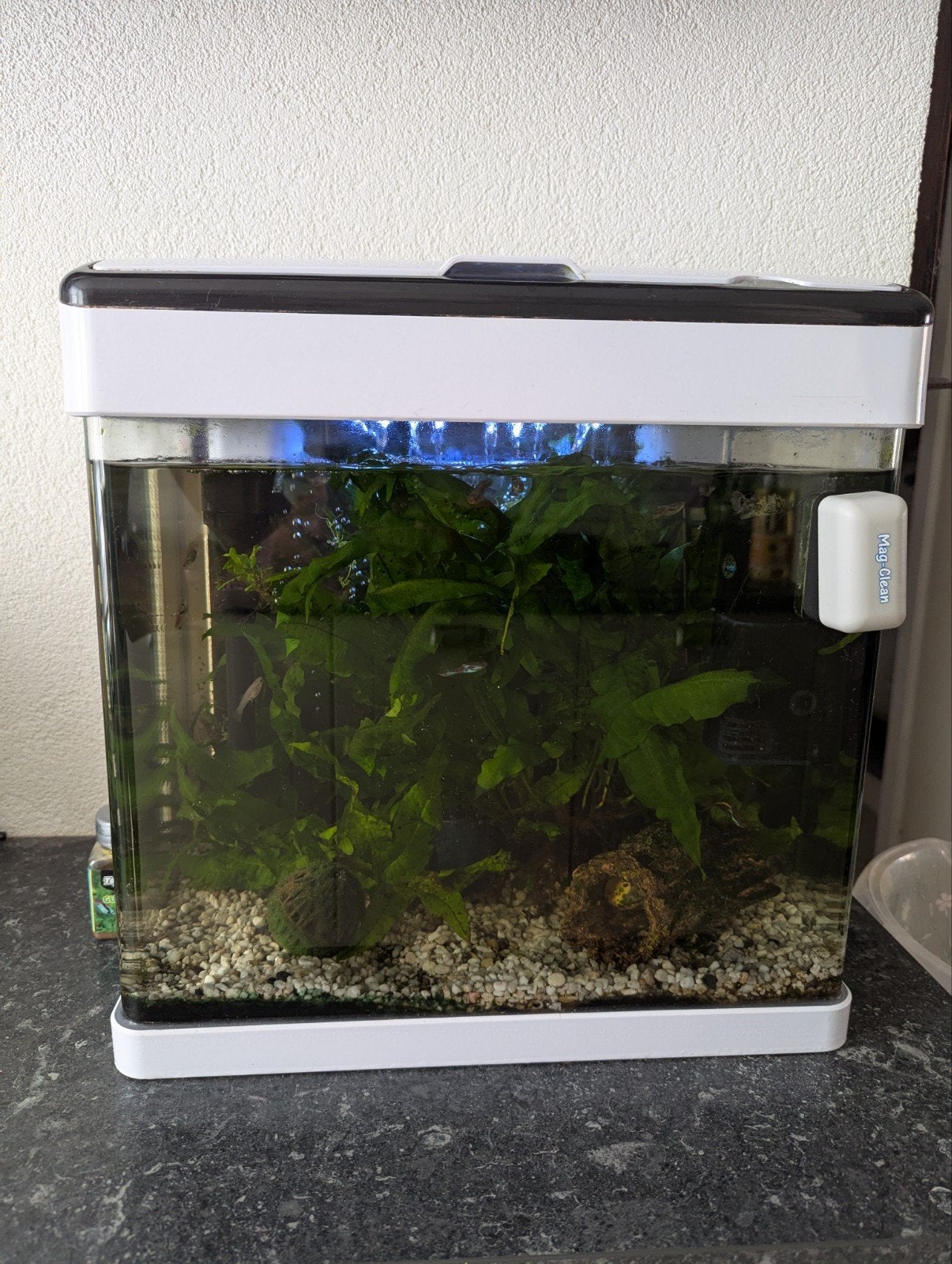 Aquarium met toebehoren en guppen, Dieren en Toebehoren, Vis