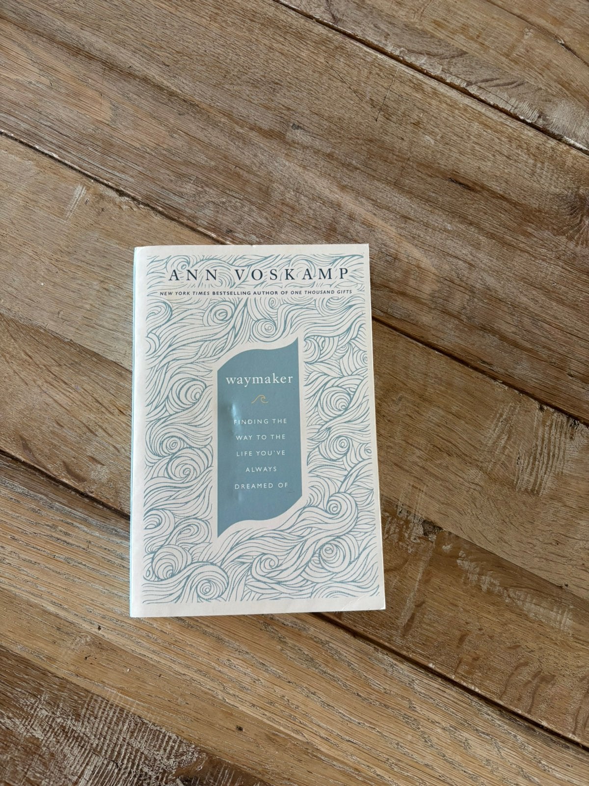 ANN VOSKAMP, Boeken, Ophalen of Verzenden, Zo goed als nieuw