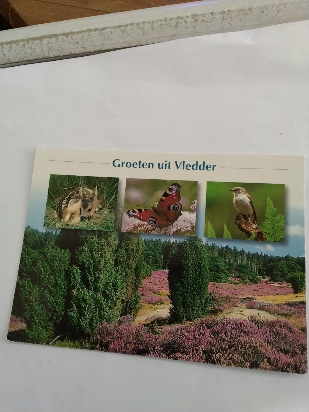 Ansichtkaart Groeten uit Vledder - Gelopen, Ophalen of Verzenden, 1980 tot heden, Gelopen, Drenthe