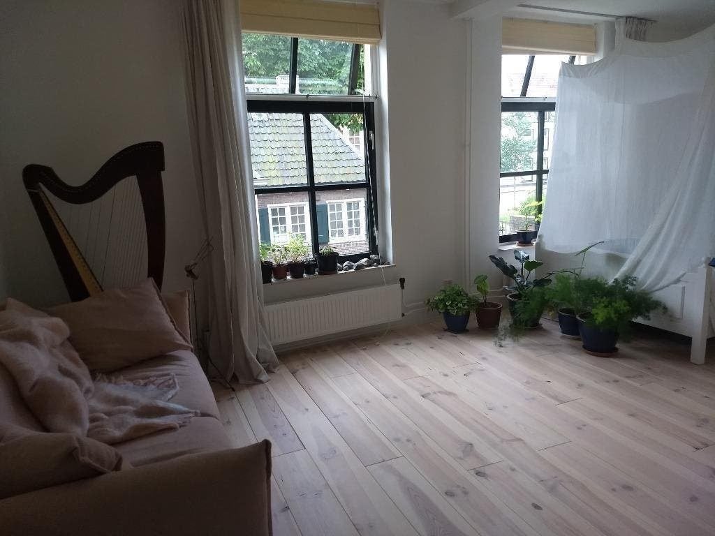 Grenen vloerdelen , Zeer Goedkoop en direct mee te nemen., Huis en Inrichting, Stoffering | Vloerbedekking, Ophalen of Verzenden