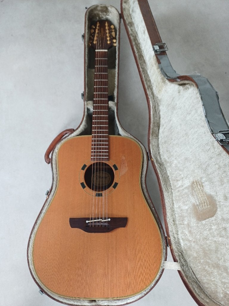 Takamine EN10c-12 string, Ophalen, Gebruikt, Western- of Steelstringgitaar, 12-snarig
