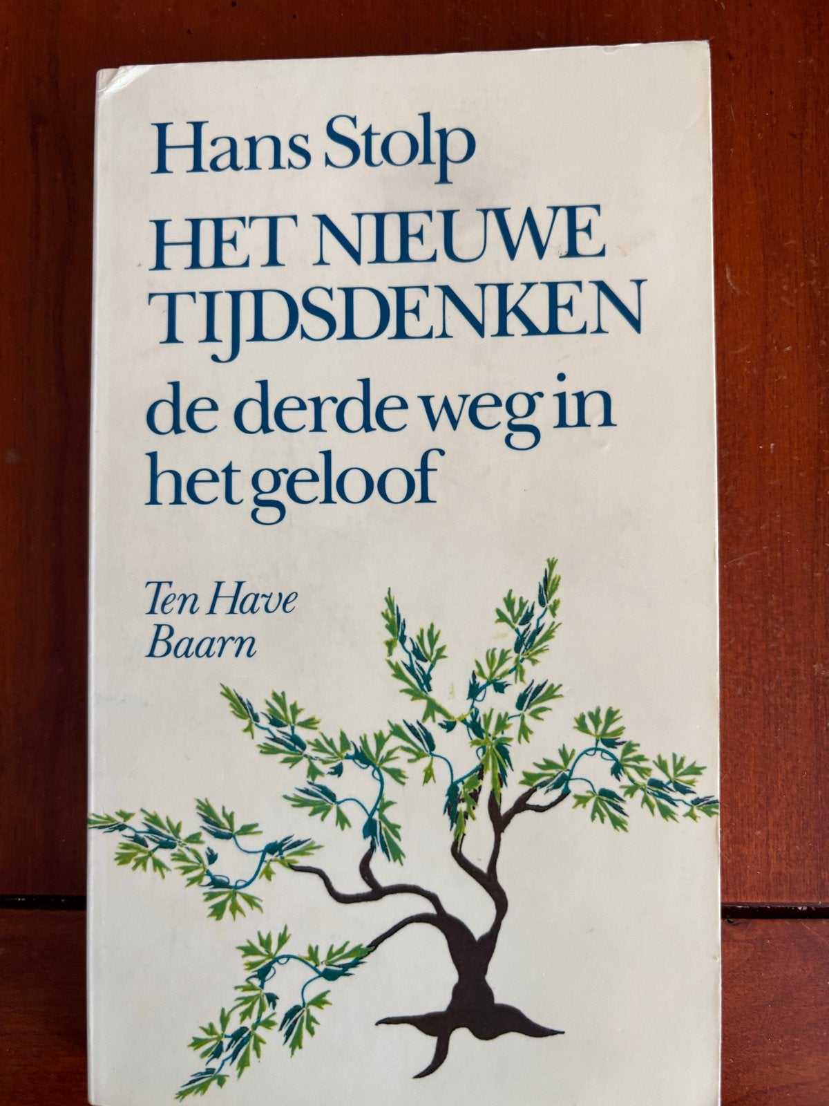 Het Nieuwe Tijdsdenken: De Derde Weg in het Geloof Stolp, Ophalen of Verzenden, Gelezen, Spiritualiteit algemeen, Achtergrond en Informatie