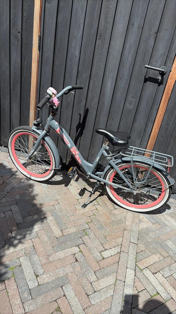 Alpina meisjes fiets 20 inch, Ophalen of Verzenden, Gebruikt, 20 inch of meer