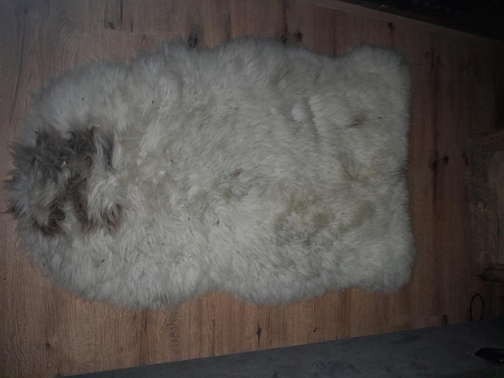 Schapenvacht lichte kleur (echt), Huis en Inrichting, Ophalen of Verzenden