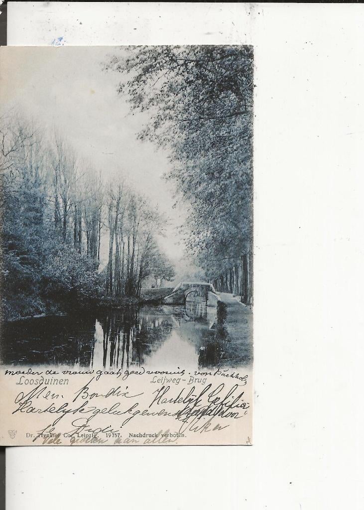Loosduinen Leyweg Brug met bomen 22 febr 1904, Ophalen of Verzenden, Voor 1920, Gelopen, Zuid-Holland
