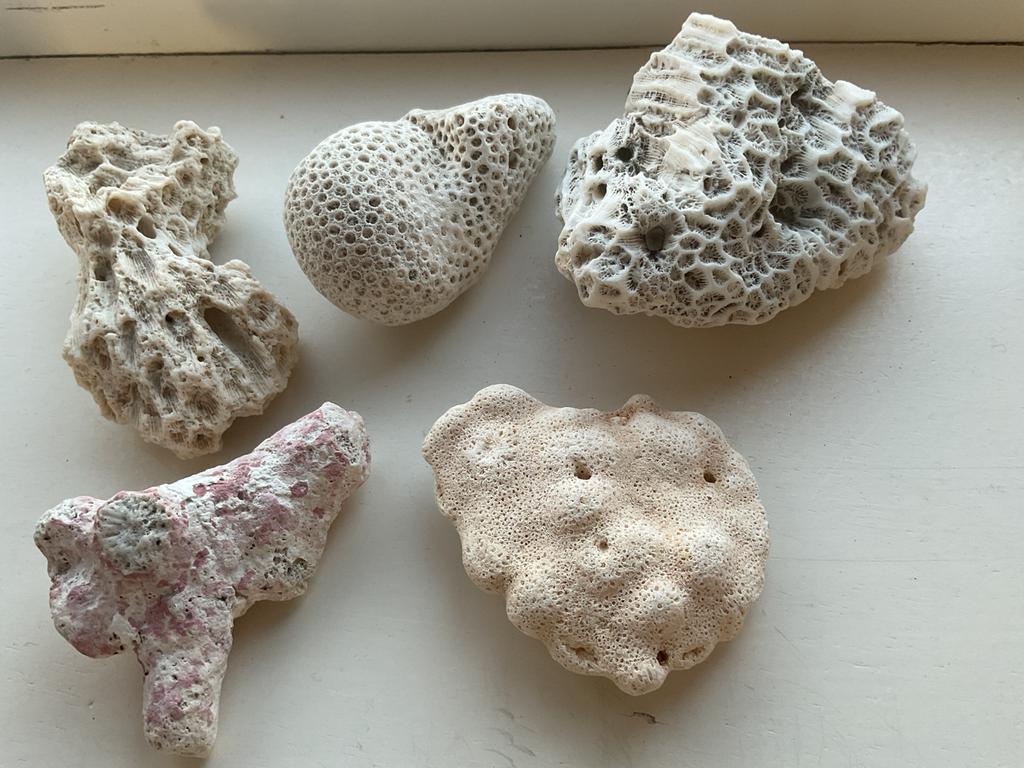 OUDE VERSTEENDE ITEMS, Verzamelen, Mineralen en Fossielen, Ophalen of Verzenden