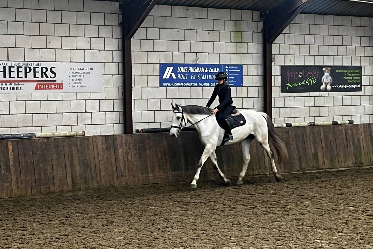 verzorg/bijrijd paard gezocht, Ophalen of Verzenden, Nieuw