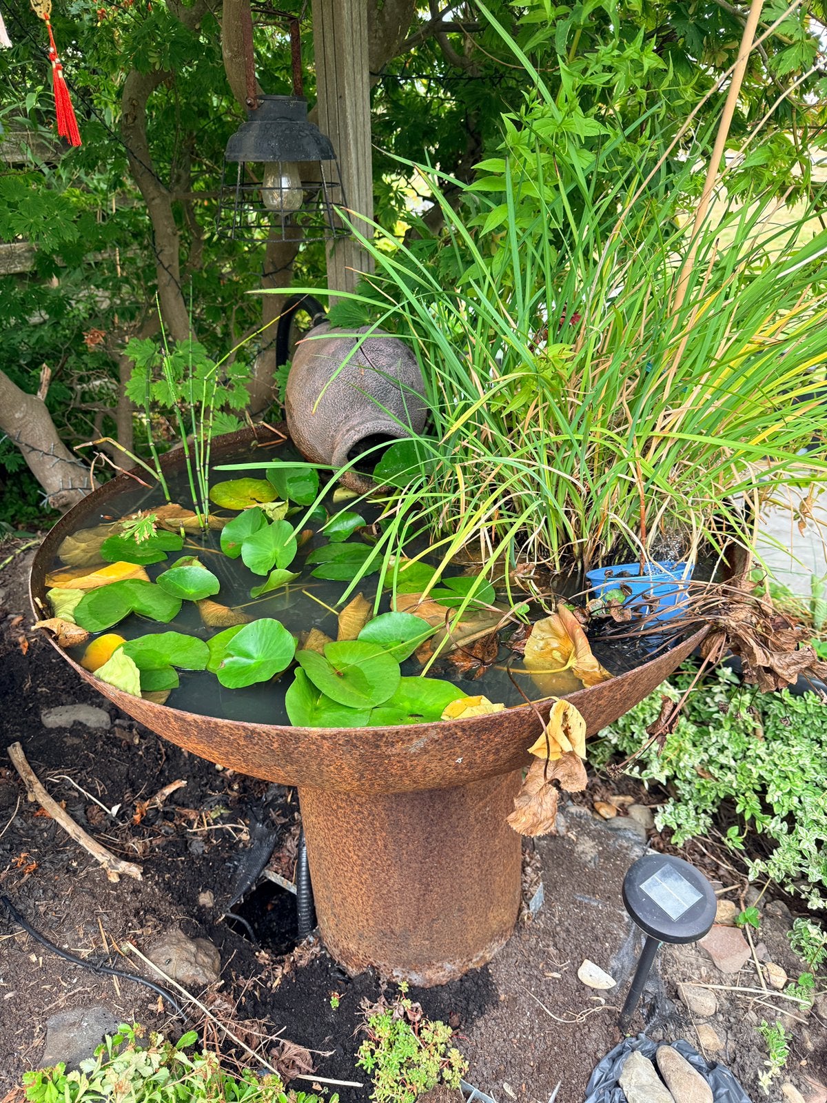 Cortenstaal vijver / waterschaal, Tuin en Terras, Vijvers, Ophalen, Gebruikt