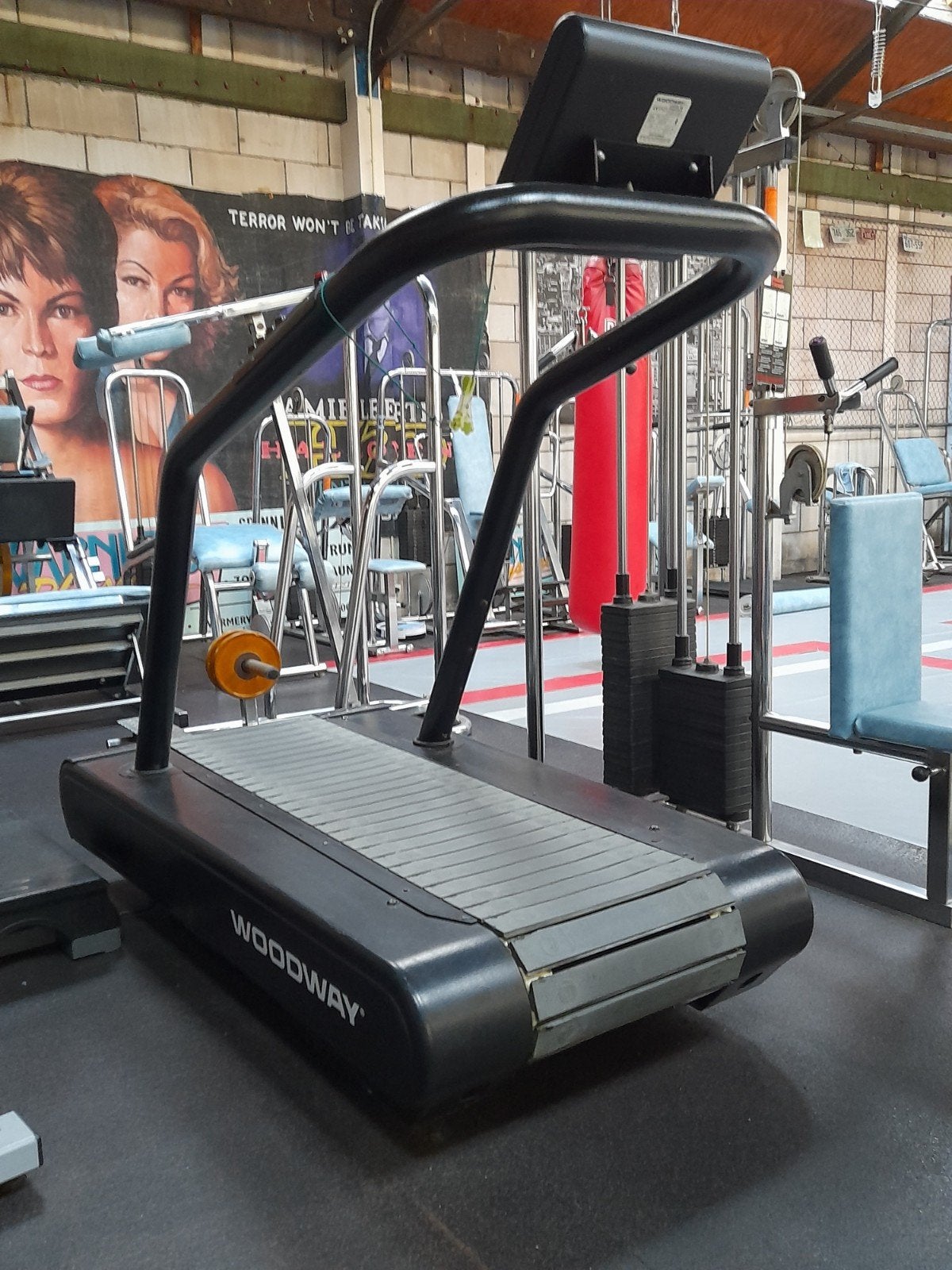 Woodway Loopband - Professionele Kwaliteit, Ophalen, Gebruikt, Metaal, Loopband