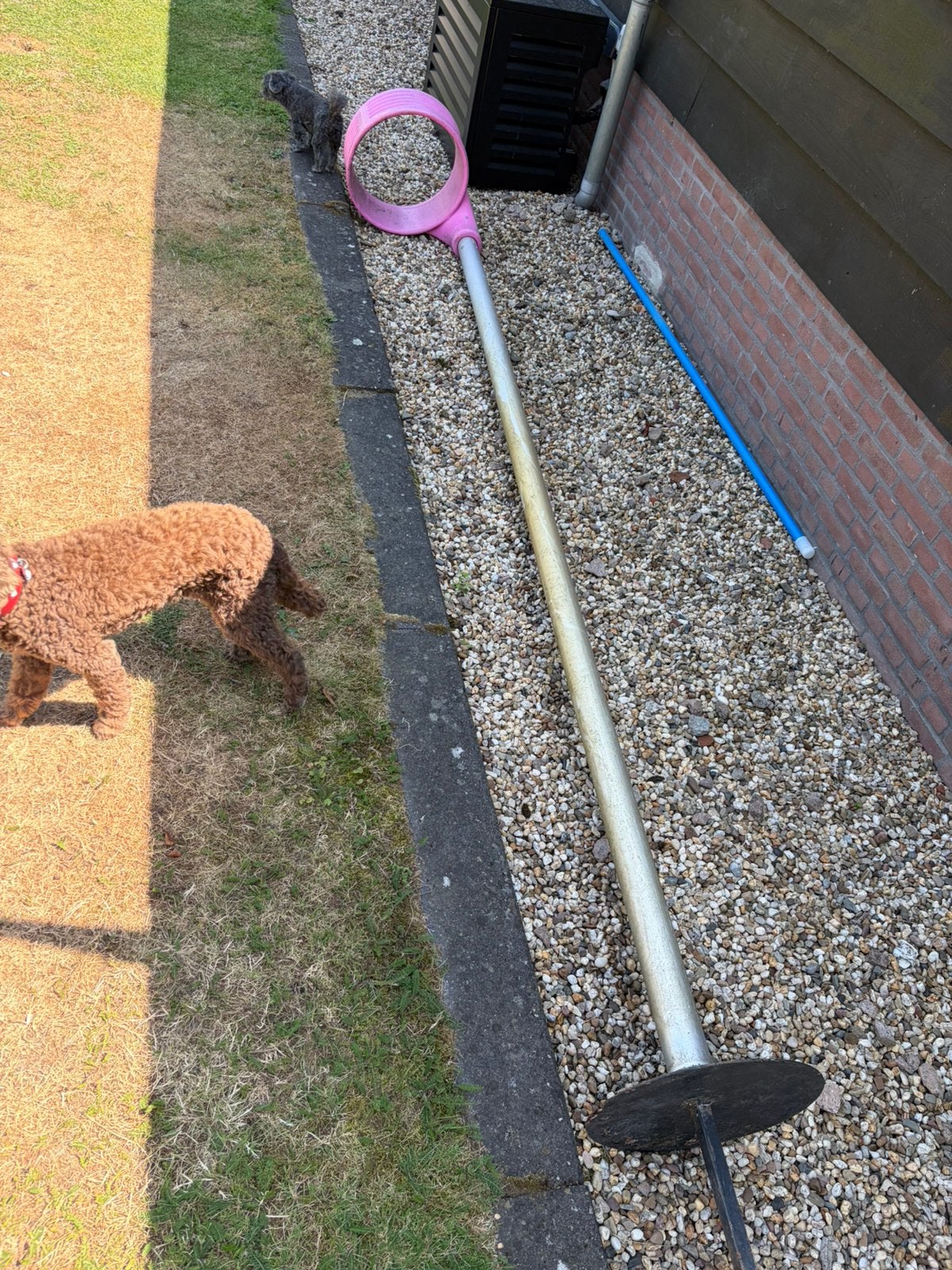 Korfbalpaal, Sport en Fitness, Korfbal, Ophalen, Zo goed als nieuw, Korf of Paal