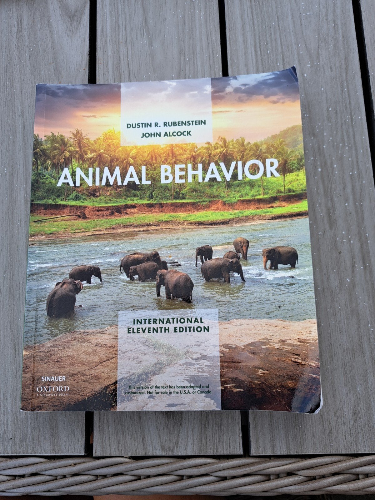 Animal Behavior - Dustin R. Rubenstein, John Alcock, Dustin R. Rubenstein, John Alcock, Ophalen of Verzenden, Beta, WO