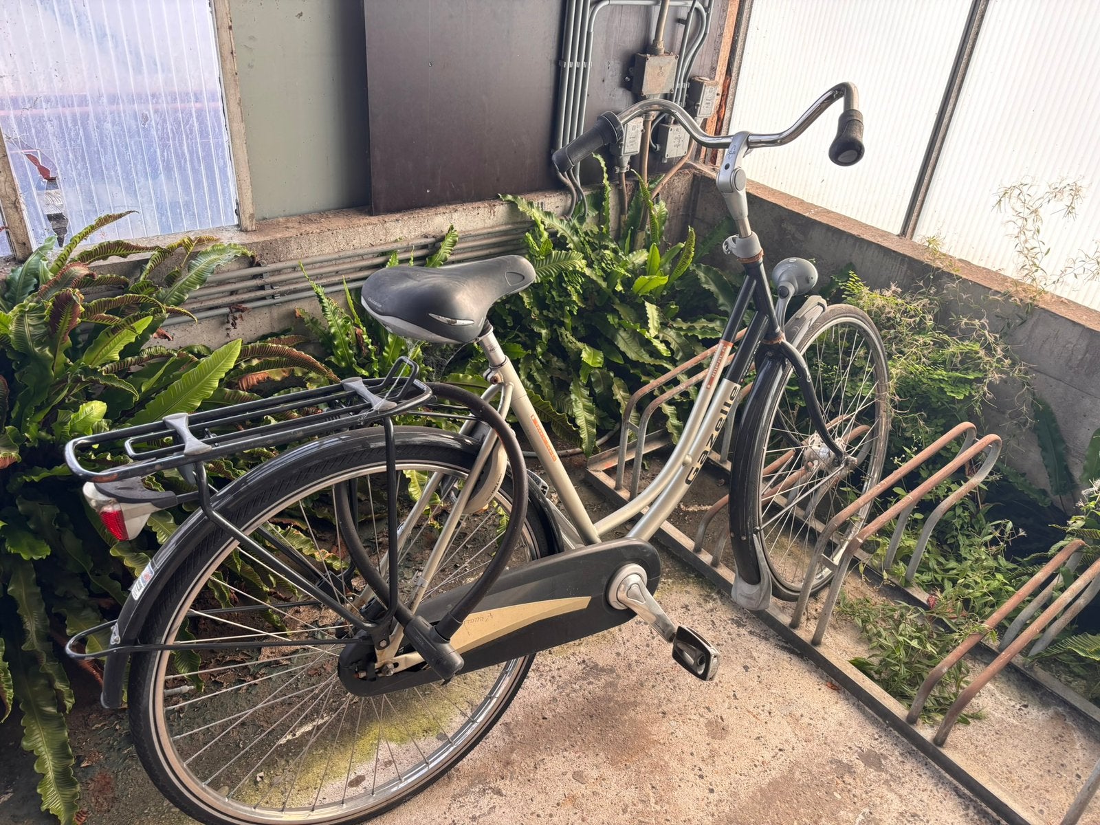 Dames fiets, Fietsen en Brommers, Ophalen, Terugtraprem, Gebruikt, 50 tot 53 cm