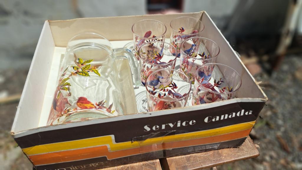 Vintage luminarc glazen set waterkan vogels, Antiek en Kunst, Antiek | Glas en Kristal, Ophalen of Verzenden