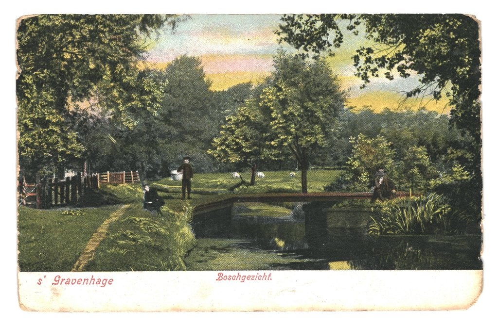 939996 s Gravenhage Boschgezicht Niet gelopen, Ophalen of Verzenden, Voor 1920, Ongelopen, Noord-Brabant